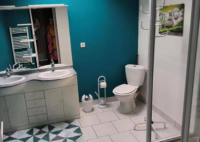 לינה וארוחת בוקר D'hotes Ferme Mahyas 3*